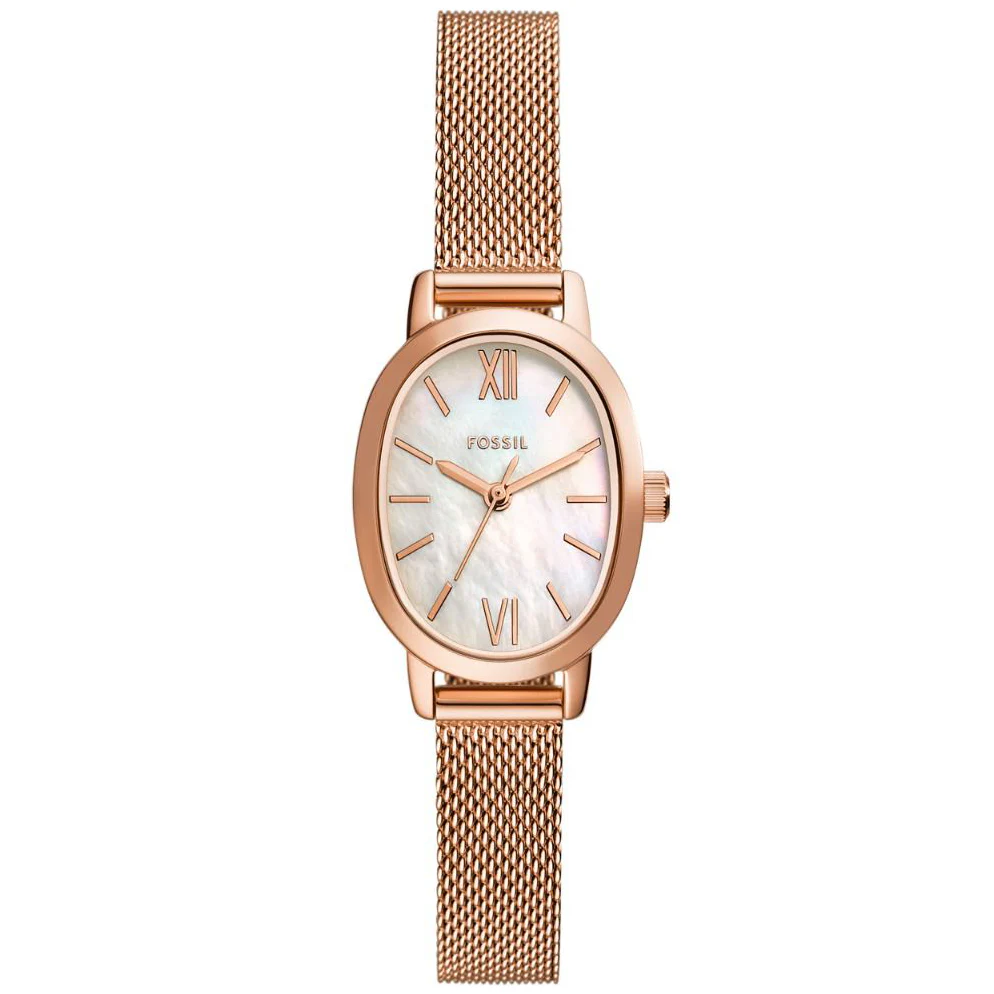 BQ5018 Reloj Penny de Mujer banda mesh 23 mm