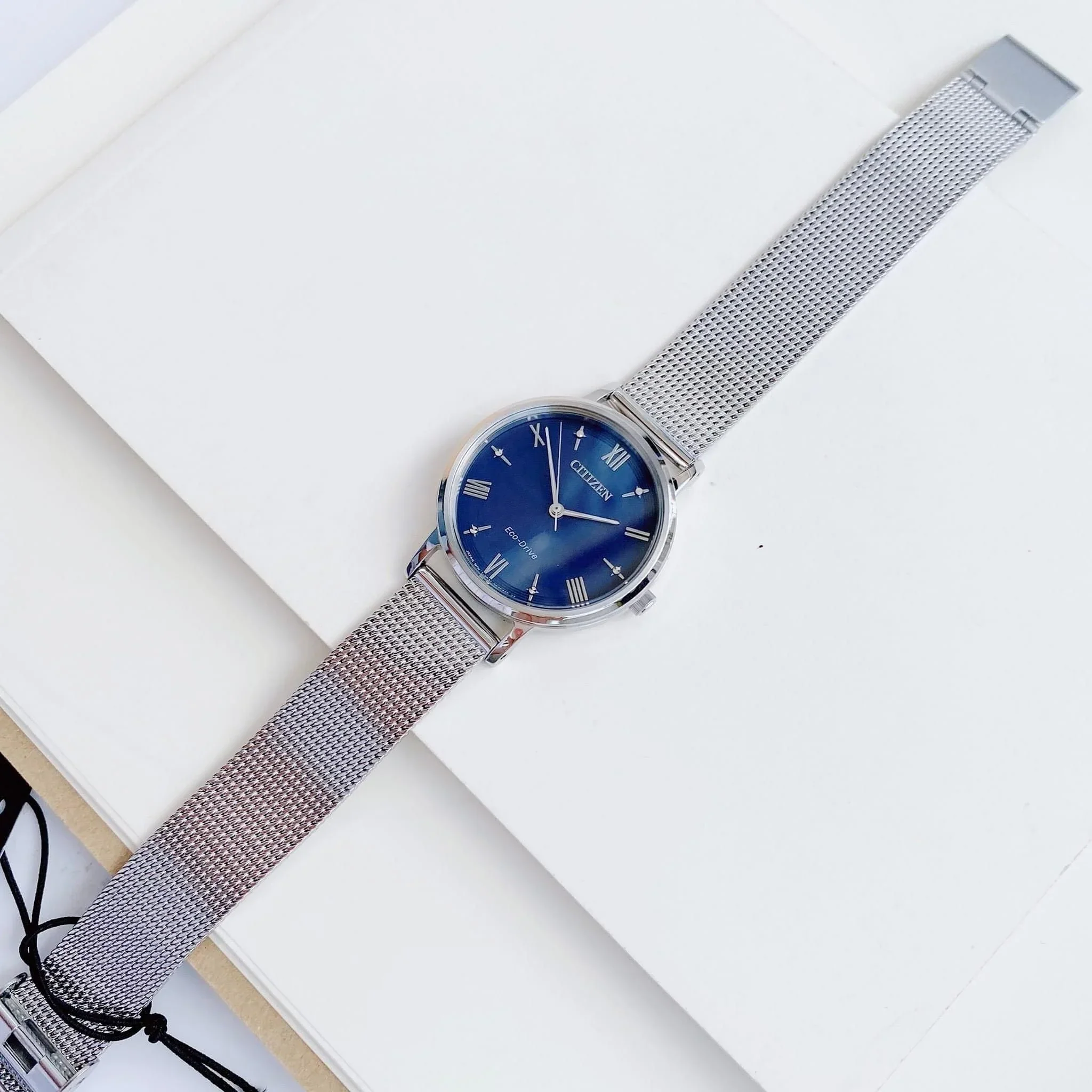 EM0571-59L Citizen Eco-Drive de dama pulsera mesh - Image 2