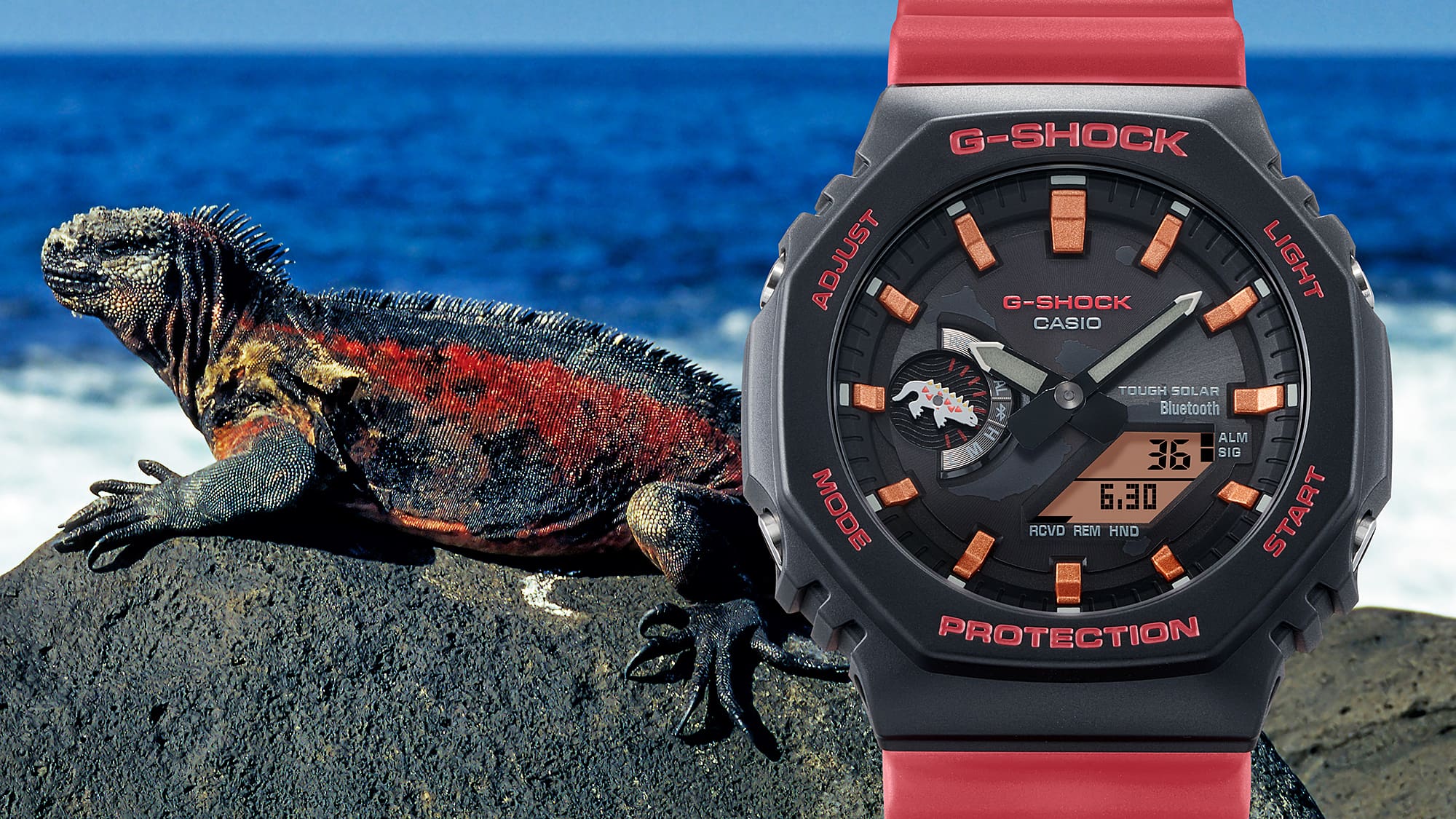 GA-B2100CD-1A4 Reloj G-Shock Galápagos Fundación Charles Darwin de hombre pulsera de resina doble hora - Image 9