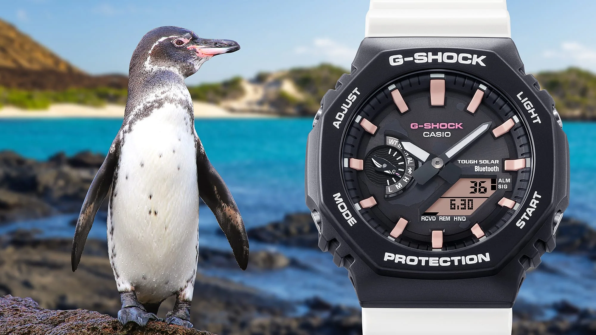 GA-B2100CD-1A7 Reloj G-Shock x Charles Darwin Foundation de hombre pulsera de caucho doble hora con Bluetooth 49 mm - Image 5