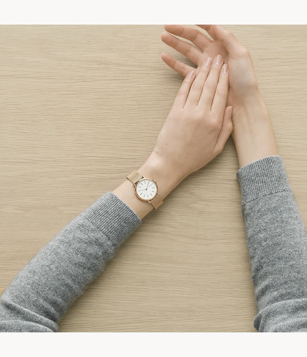 SKW2694 Reloj Skagen para Mujer - Image 5